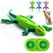 The Wall Crawling Gecko