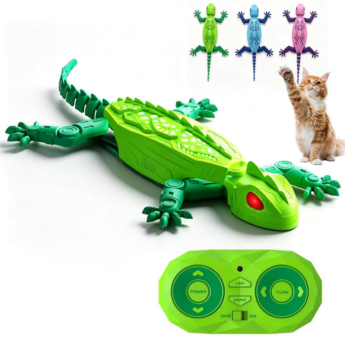 The Wall Crawling Gecko